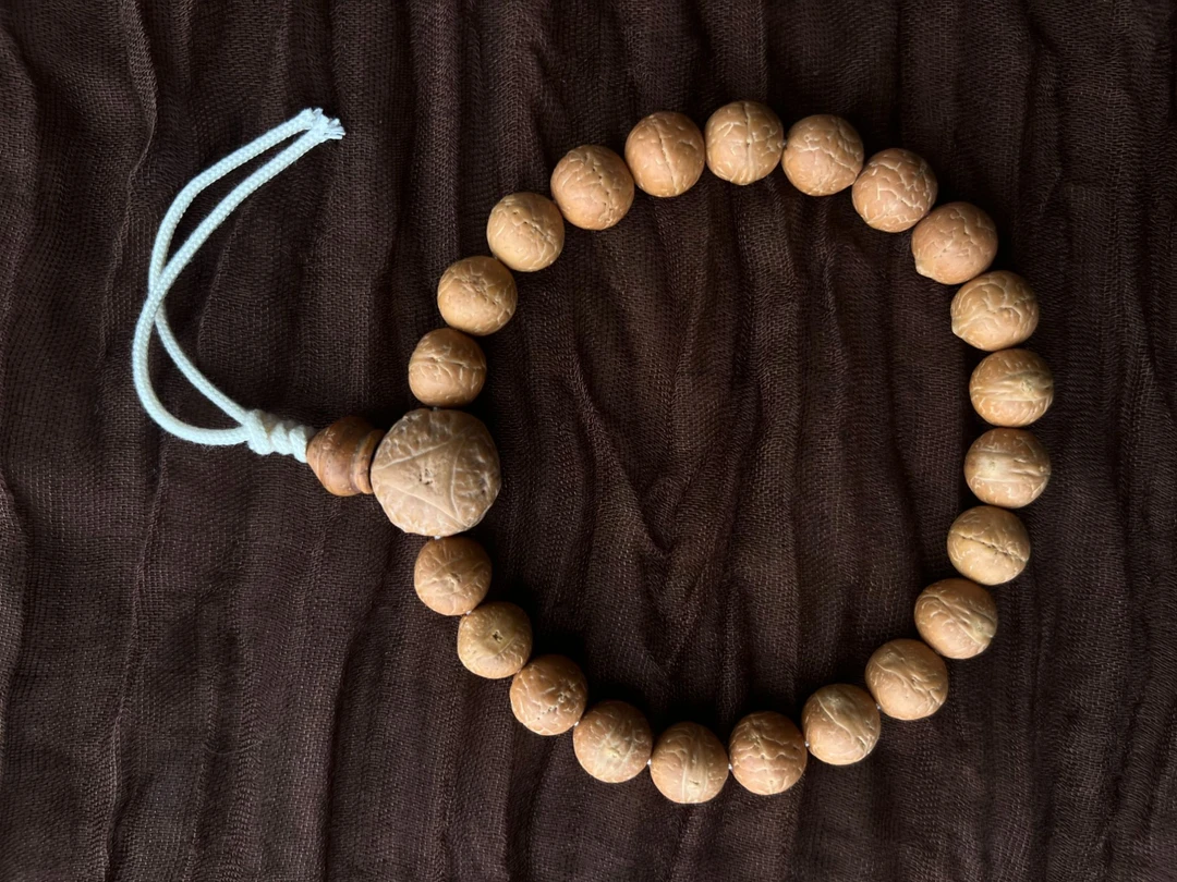 11mm正圆2025年新籽 尼泊尔小凤眼 同树原皮原色文玩手串