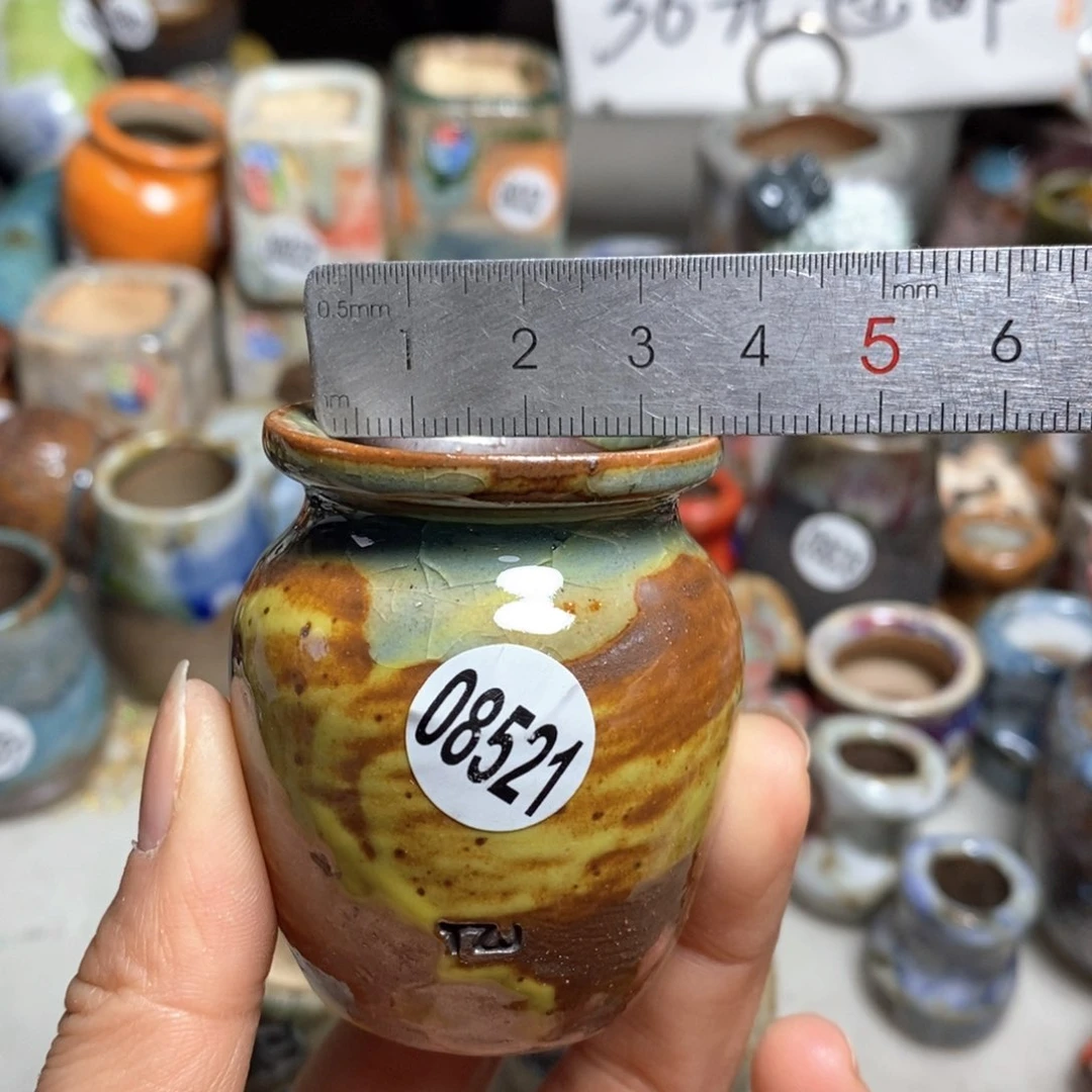 花盆拍5送一个小礼物