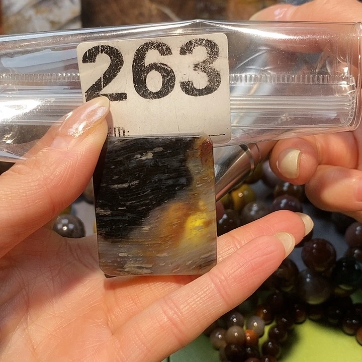 硅化玉未镶嵌天然北票树化玉吊坠