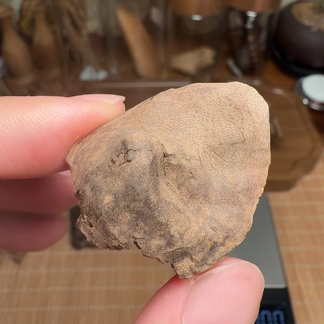 沉香老挝壳子料子