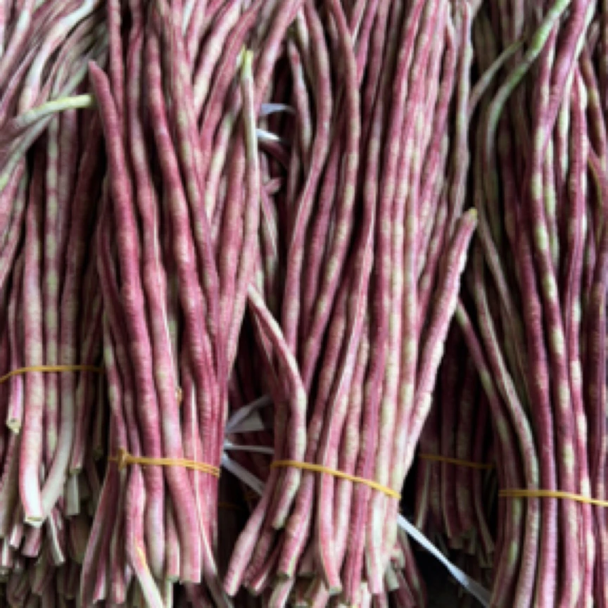 湖北农家菜新鲜采摘长豇豆角肉末炒肉当季时令蔬菜干煸豆角茄子