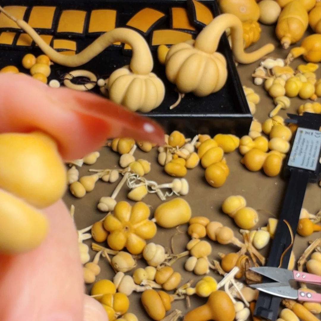 ?****a好喜欢你这个造型诶小