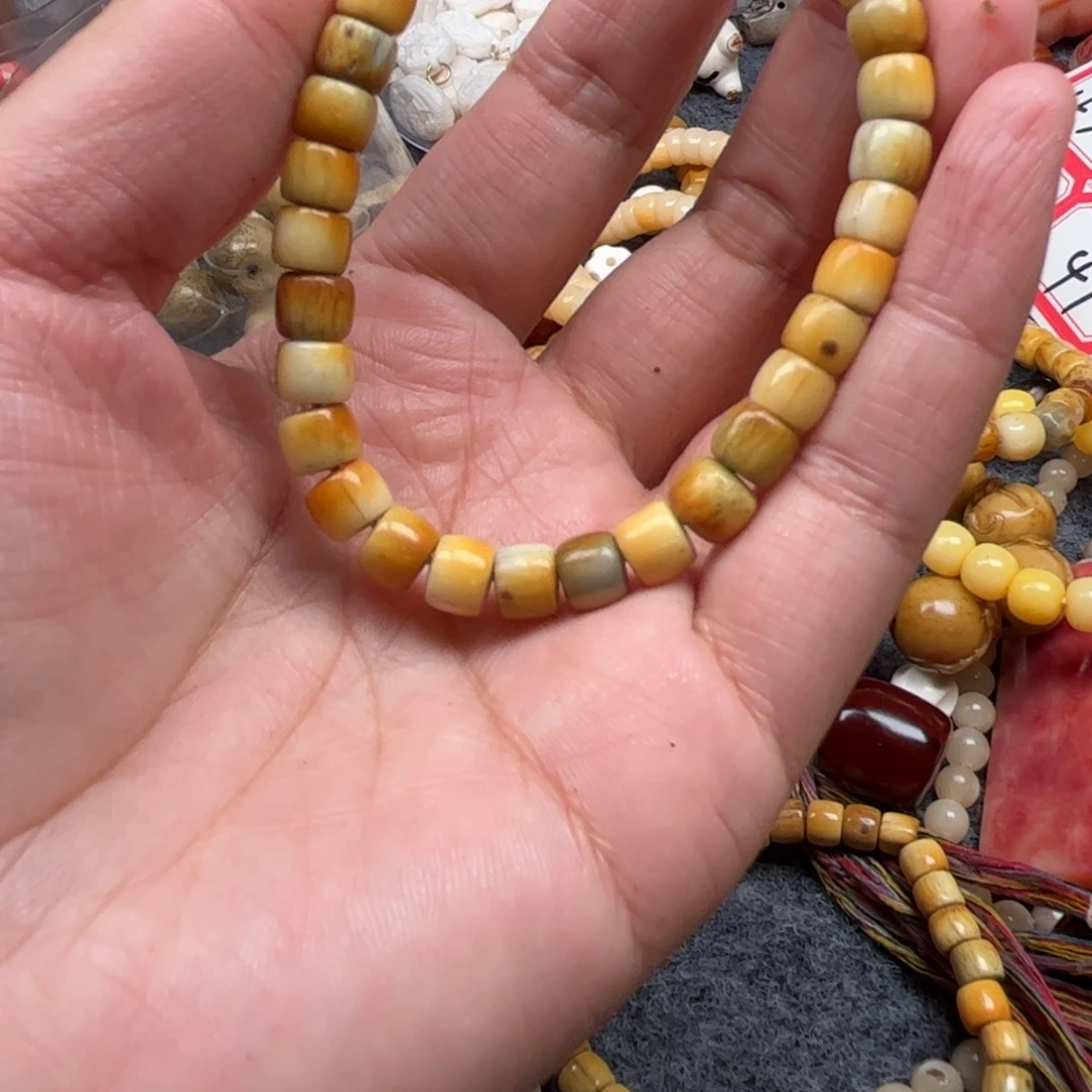 鹿骨其他人工养殖驼骨34