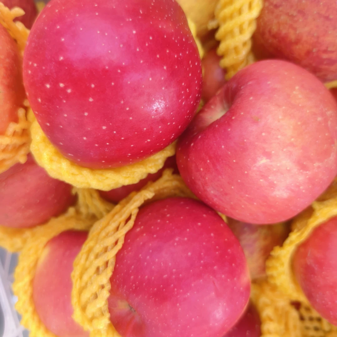 红富士苹果7元/斤