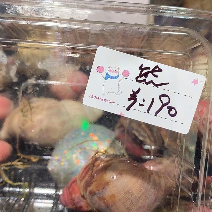 熊出没了没专拍奔跑