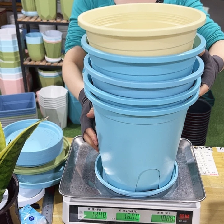 圆形控根口24高24蓝色5个带托