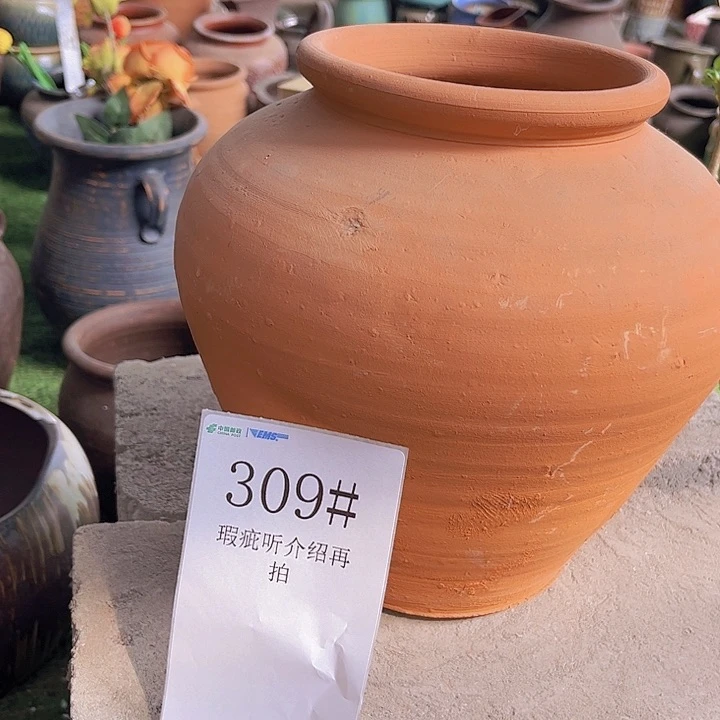 309号24×15沙眼瑕