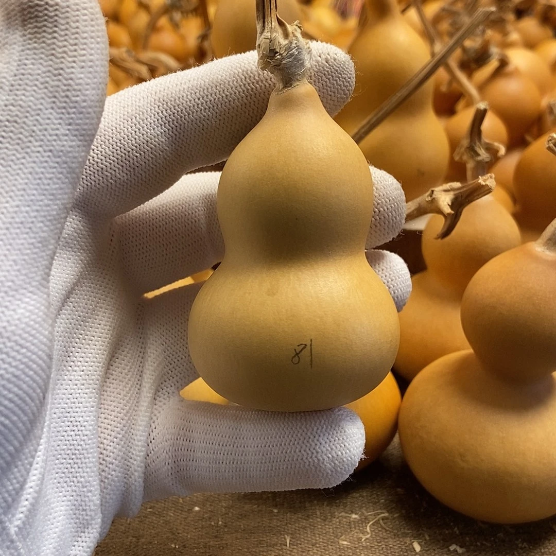 文玩葫芦 完美主义者 慎拍81