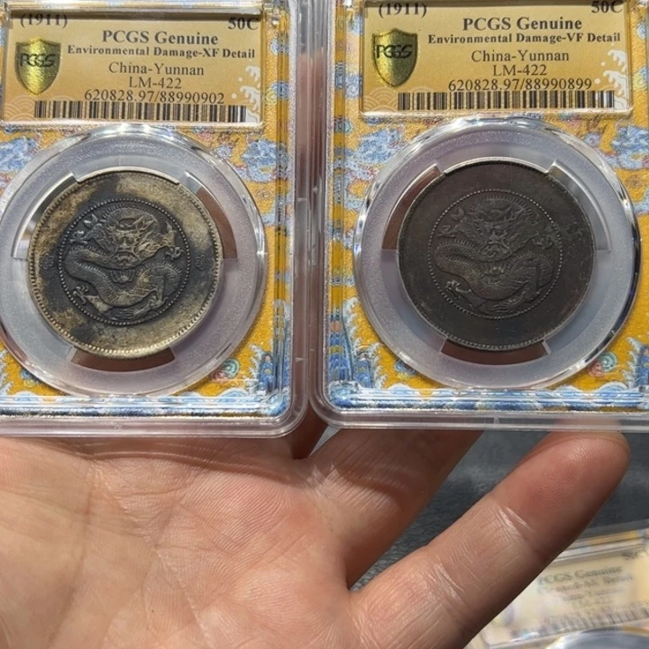 银丶云南半圆龙编号0902 0899