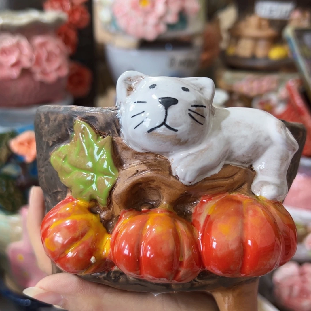 本场直播满100送一个盆