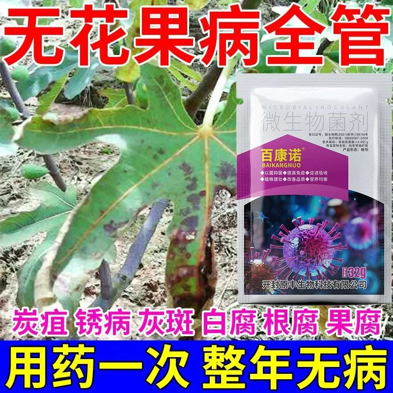无花果锈病专用药雨后黄叶病叶斑病炭疽病根腐病裂果病通用杀菌剂