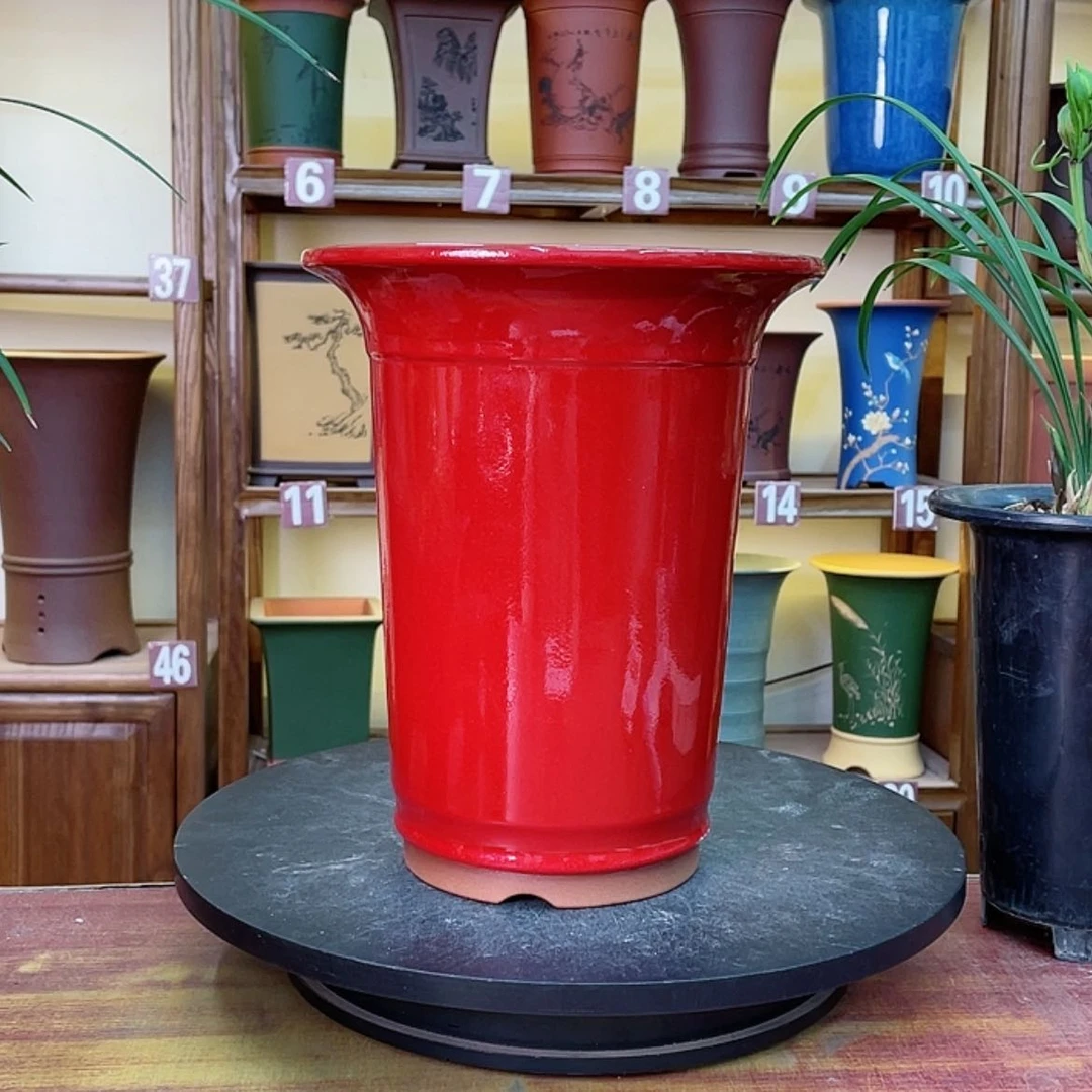 【闪购商品】紫砂花盆燕*满兰花82668255722668588