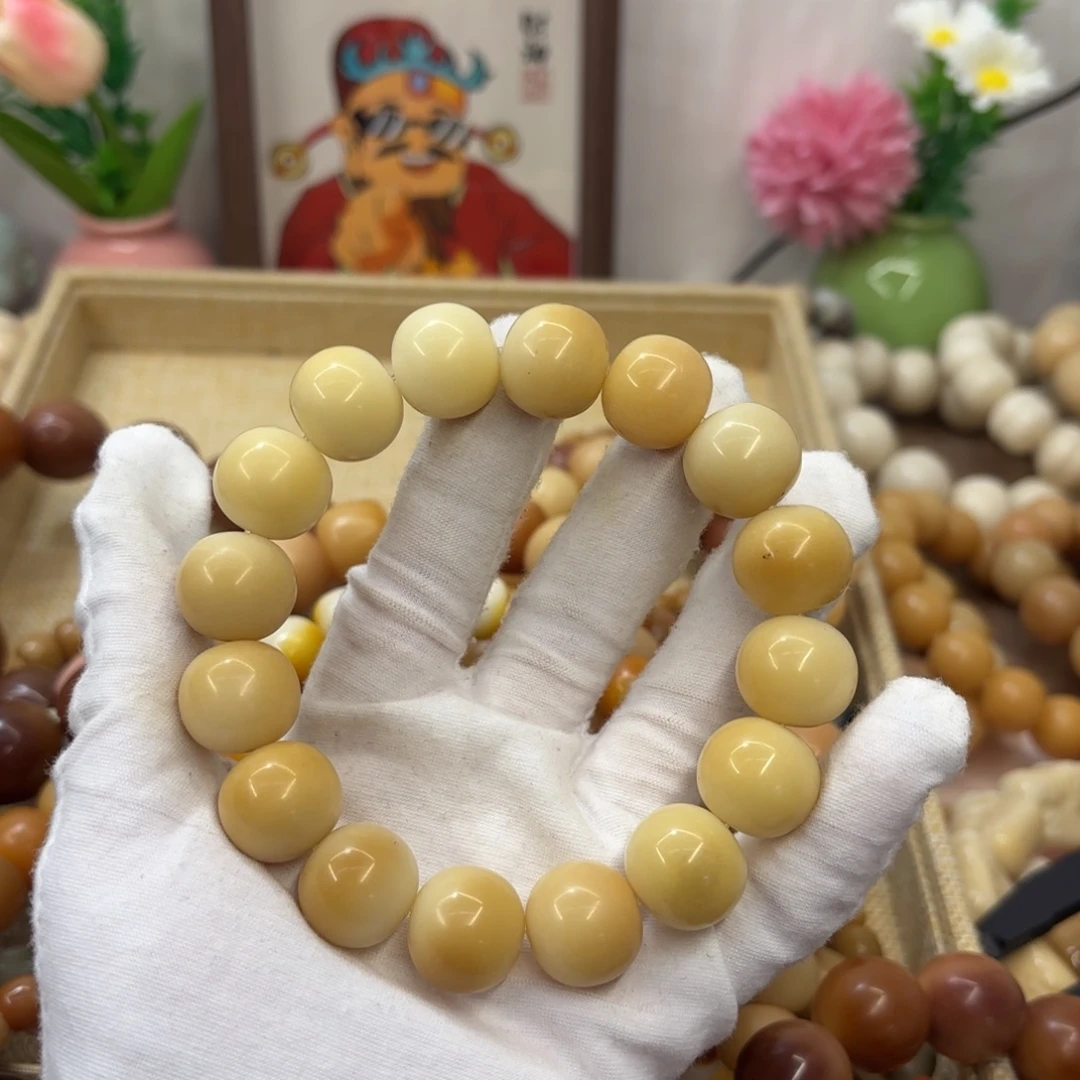 吊坠菩提根/象牙果17干磨瑕疵落地果921