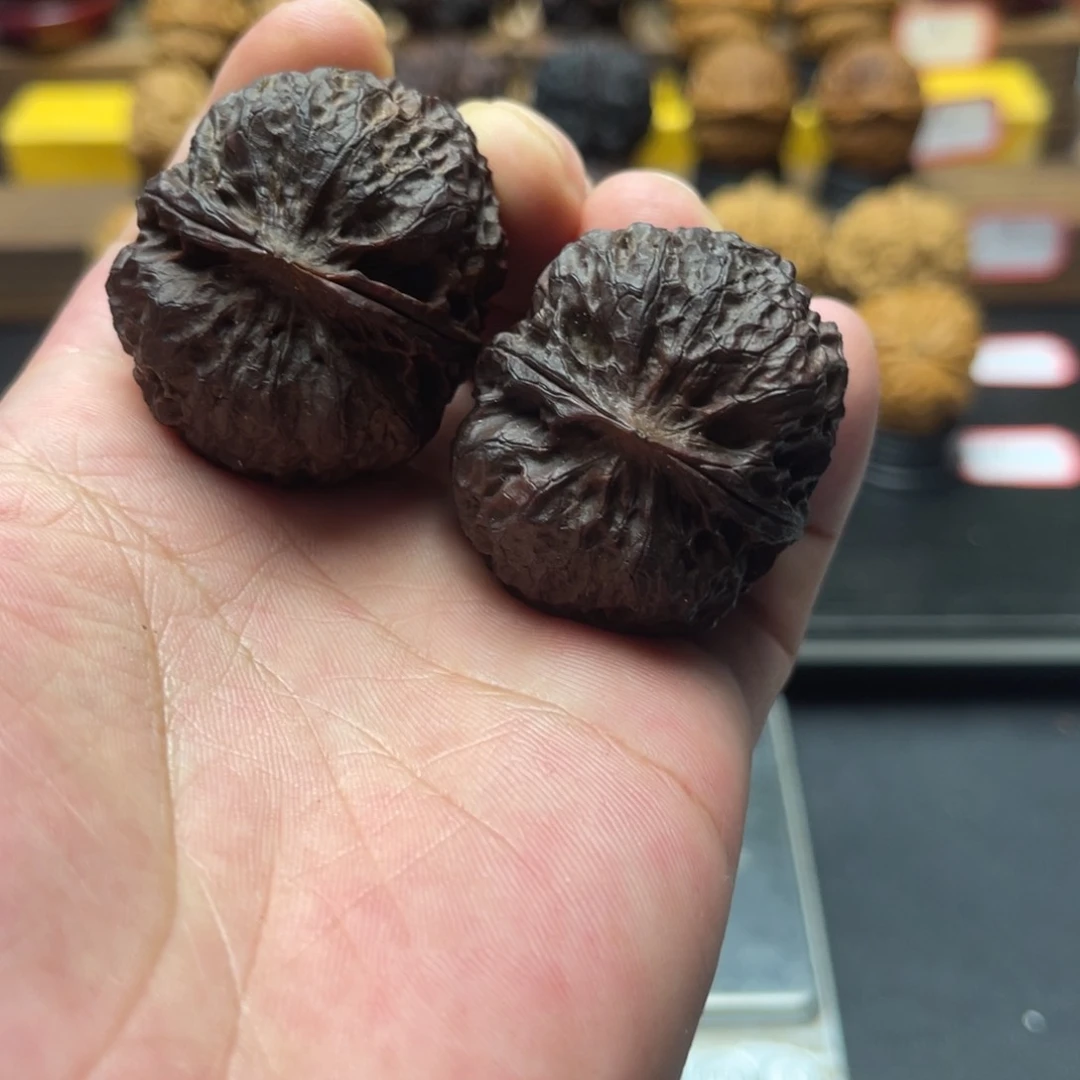 小***志4 0尺寸七彩龙鳞王 差尺寸