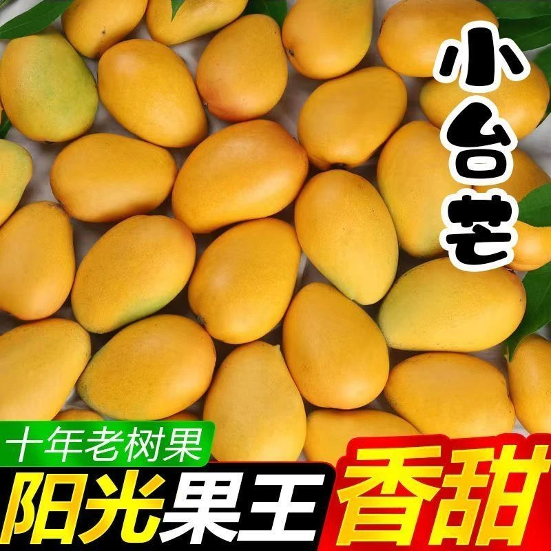 【低价】正宗小台农当季热带大台农新鲜水果产地直发当季新鲜水果