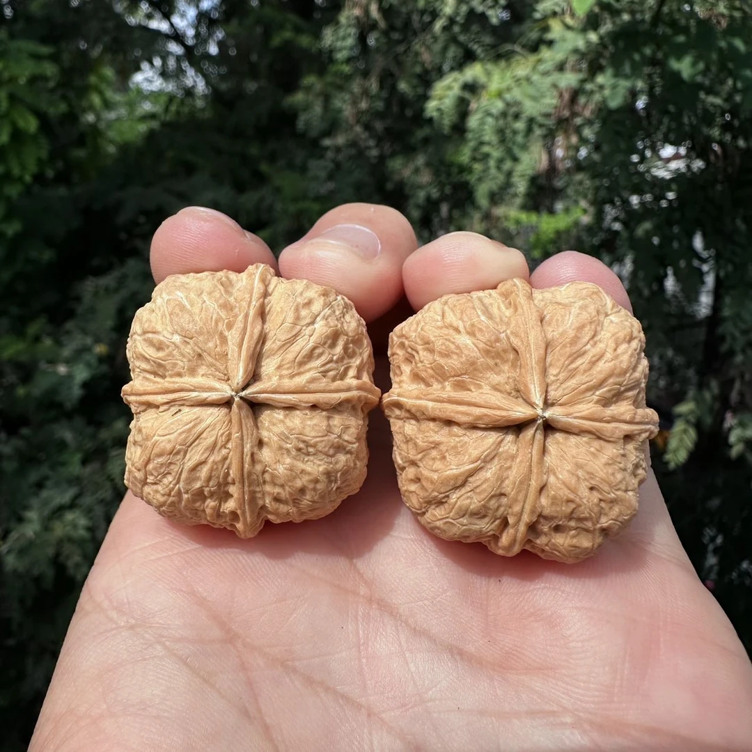 【地主专属】27 G20053-铁核桃四棱核桃-尺寸30mm