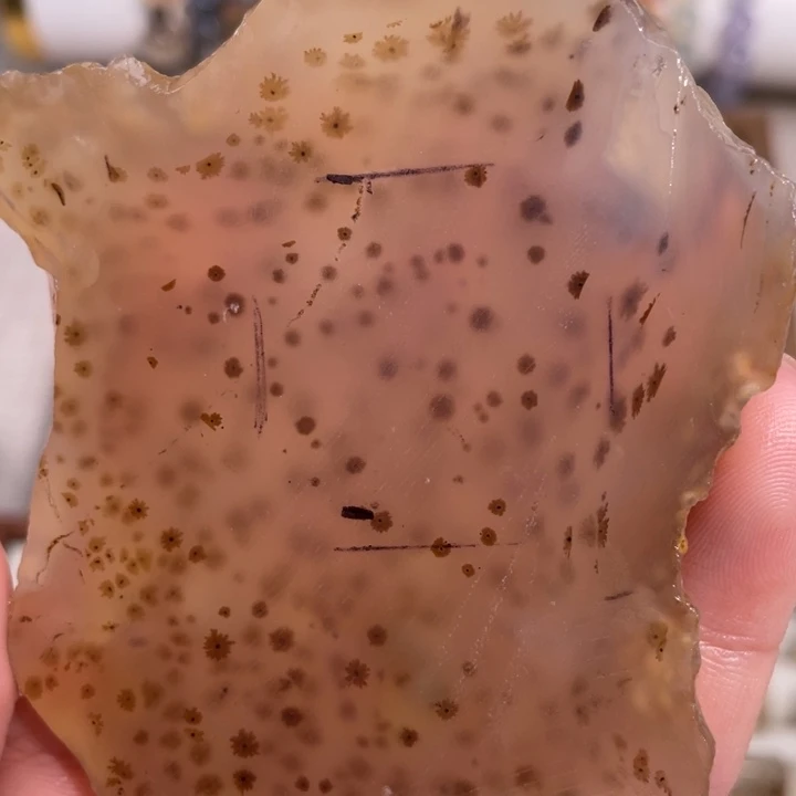 玛瑙/玉髓颈饰合金