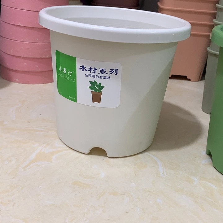 小果汀15口白10个无托