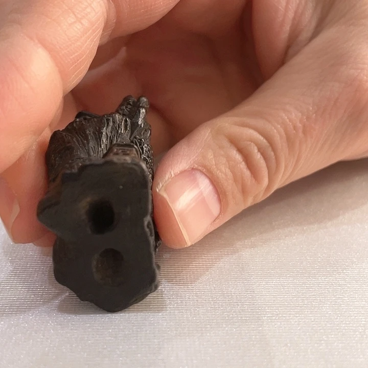 呵**笑您好您好您好您好