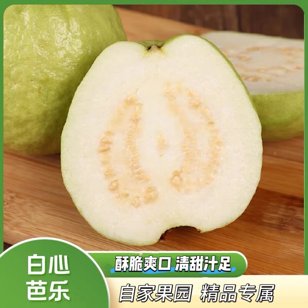 （酥脆甜口）广东白珍珠番石榴芭乐新鲜现摘现发应季时令水果