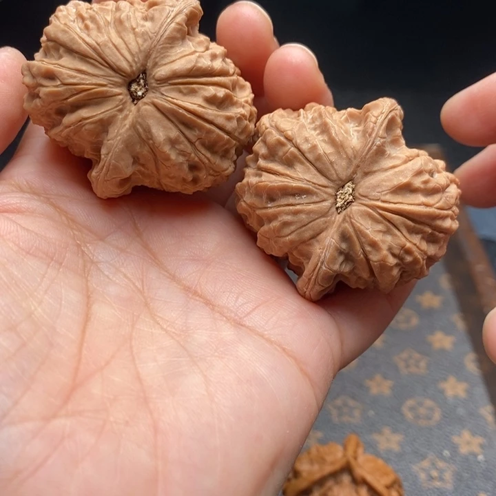 把件文玩核桃毕业血麒麟41尺