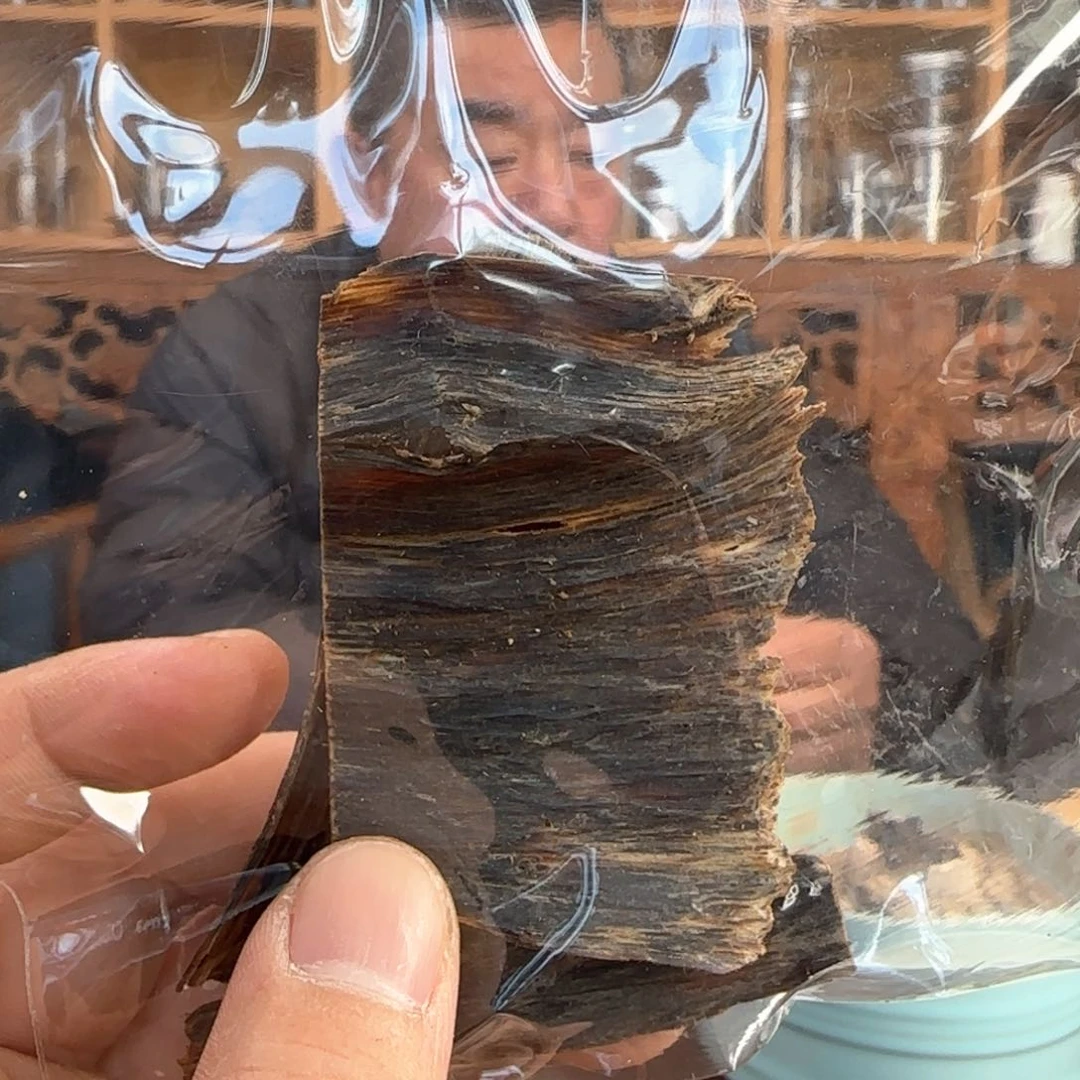 沉香摆件蜗**妹奇楠沉水皮油料7克
