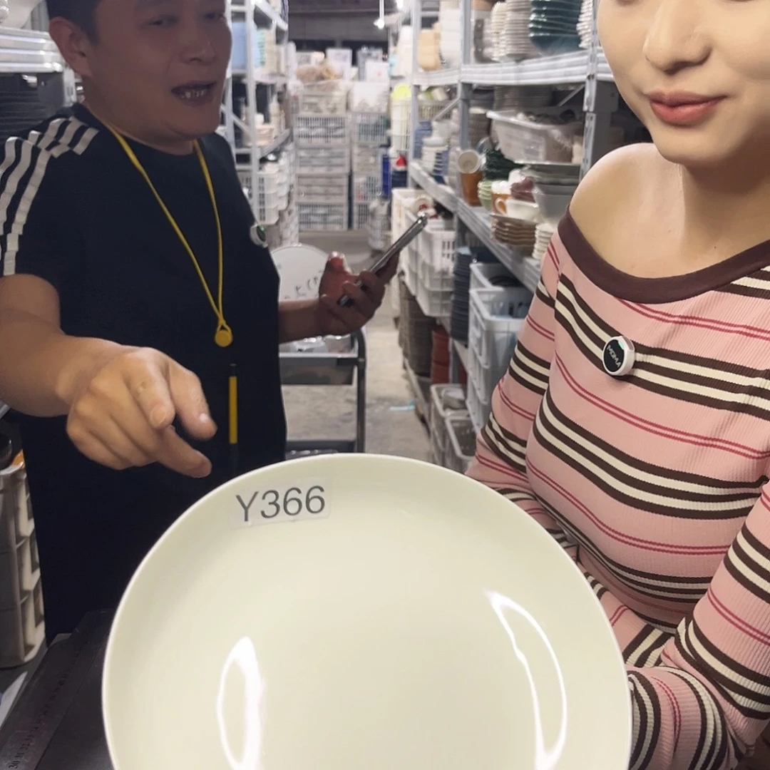 瓷片366              2个