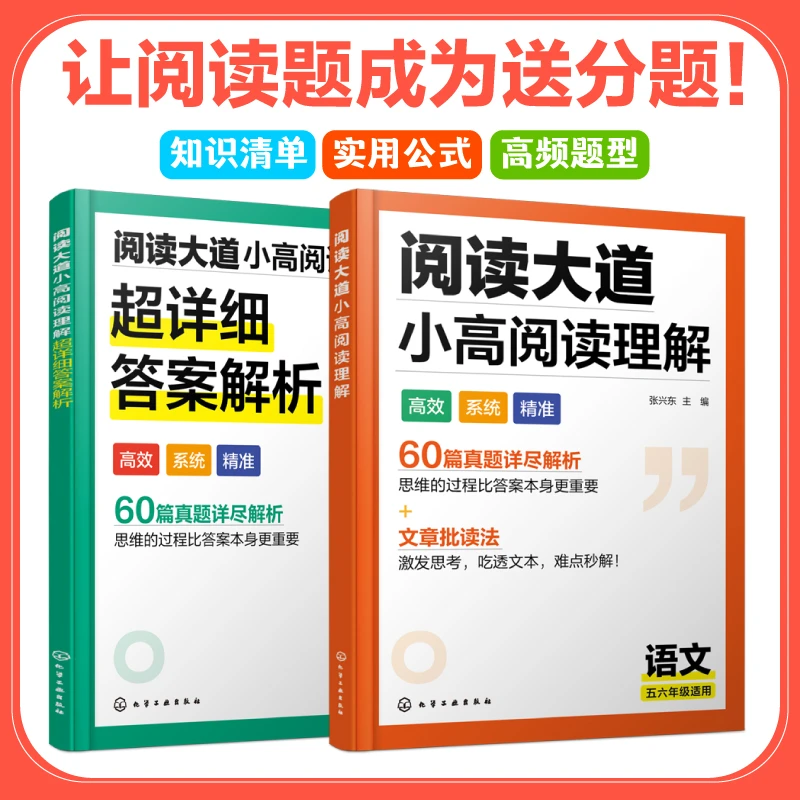 阅读大道小高阅读理解全2册小学高年级语文方法真题【HXGY】