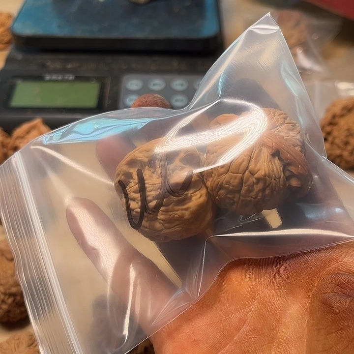 m***吊坠文玩核桃白狮子