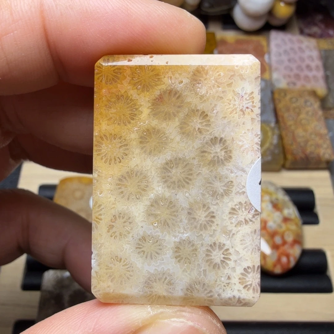 硅化玉未镶嵌纯天然色有机玉石保真色