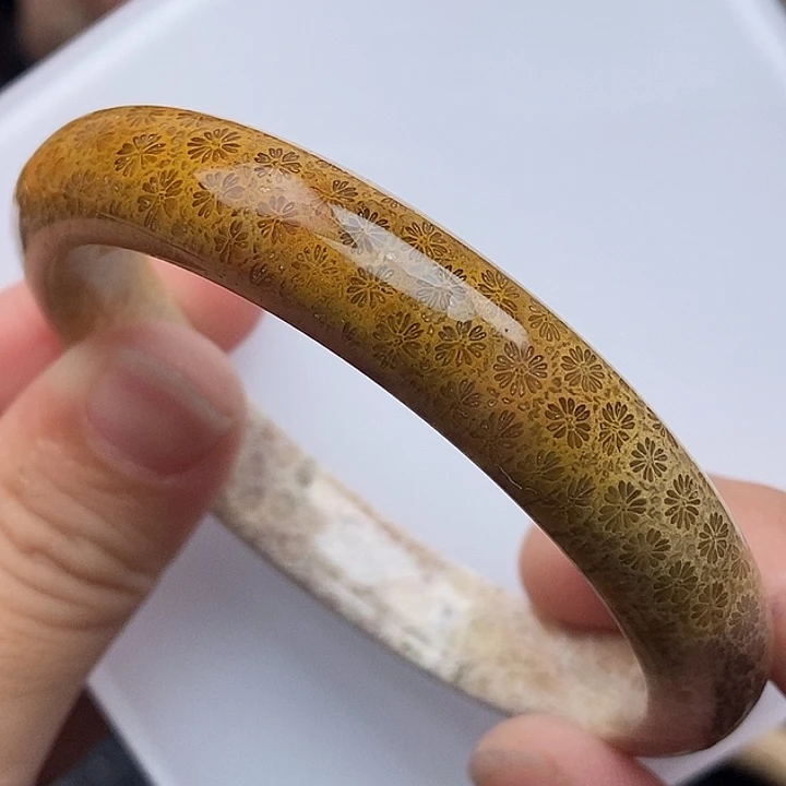 硅化玉未镶嵌颈饰59,5