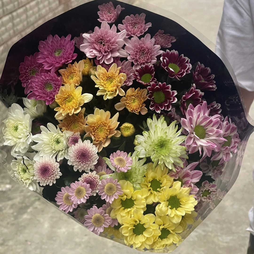 10枝混色雏菊全店1-5扎1个运费