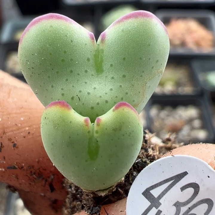 436好1111的人不一定都有好运啊泪1