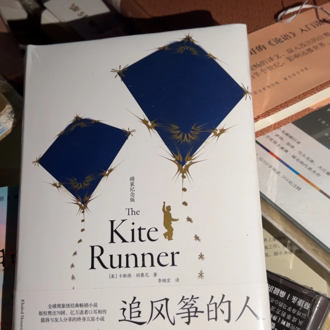 追风筝的人九米一个