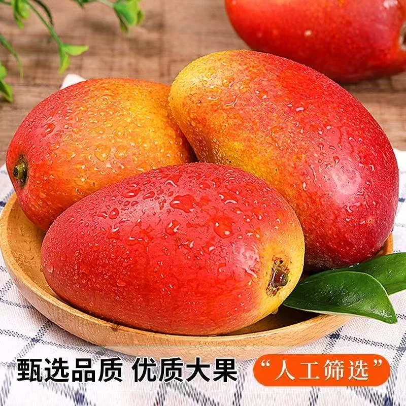 海南正宗贵妃芒果新鲜水果香甜多汁热带时令水果