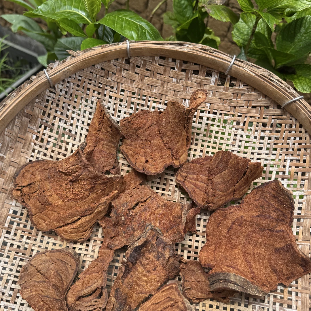 云南边境红肉过江龙（根部干货）