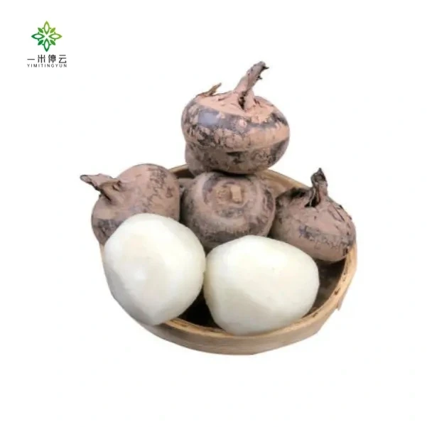 广西荔浦带泥鲜马蹄约250±5g/份（清炒、煮水）