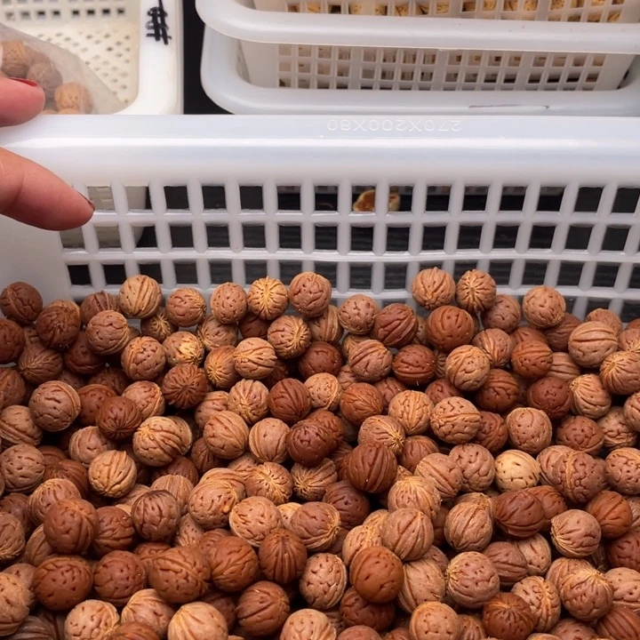 【闪购商品】核桃其他