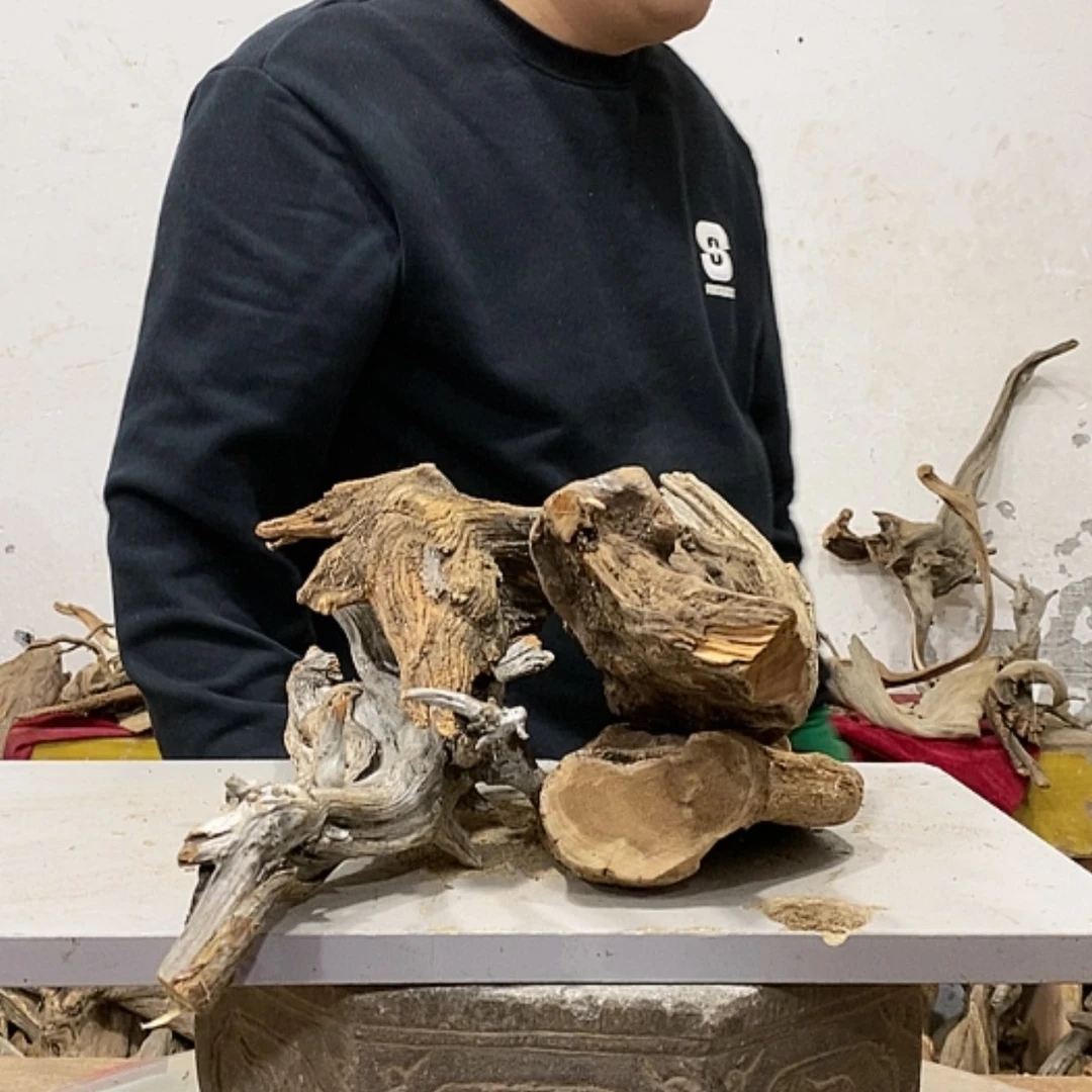 【闪购商品】柏木用****5我们都是好孩子