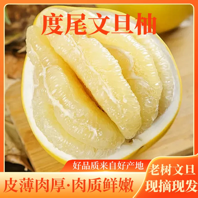 福建莆田度尾文旦柚老树白心柚纯甜多汁当季新鲜水果现摘现发