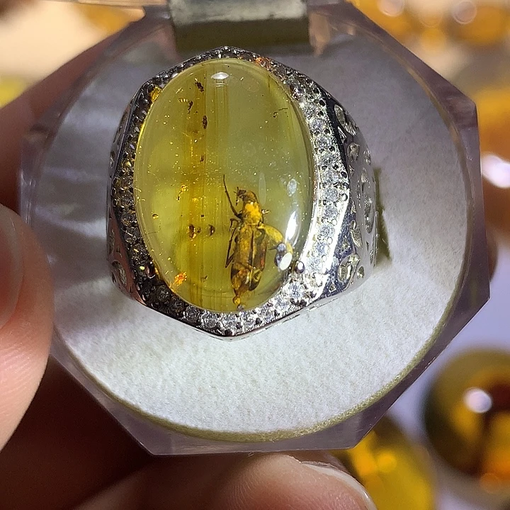 琥珀银S925镶嵌戒指大甲虫戒指