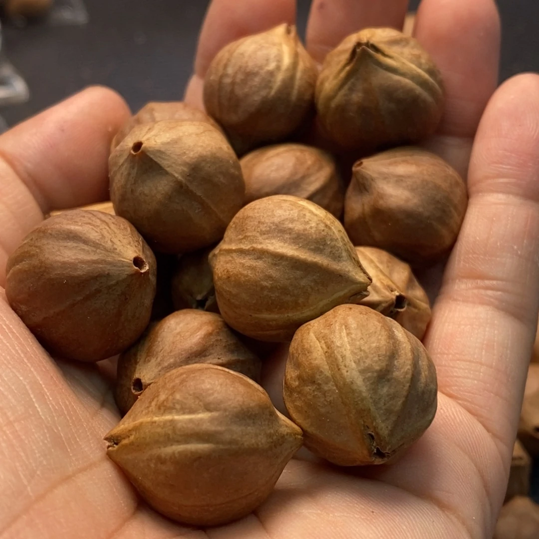 吉***祥橄榄核手串/手链1