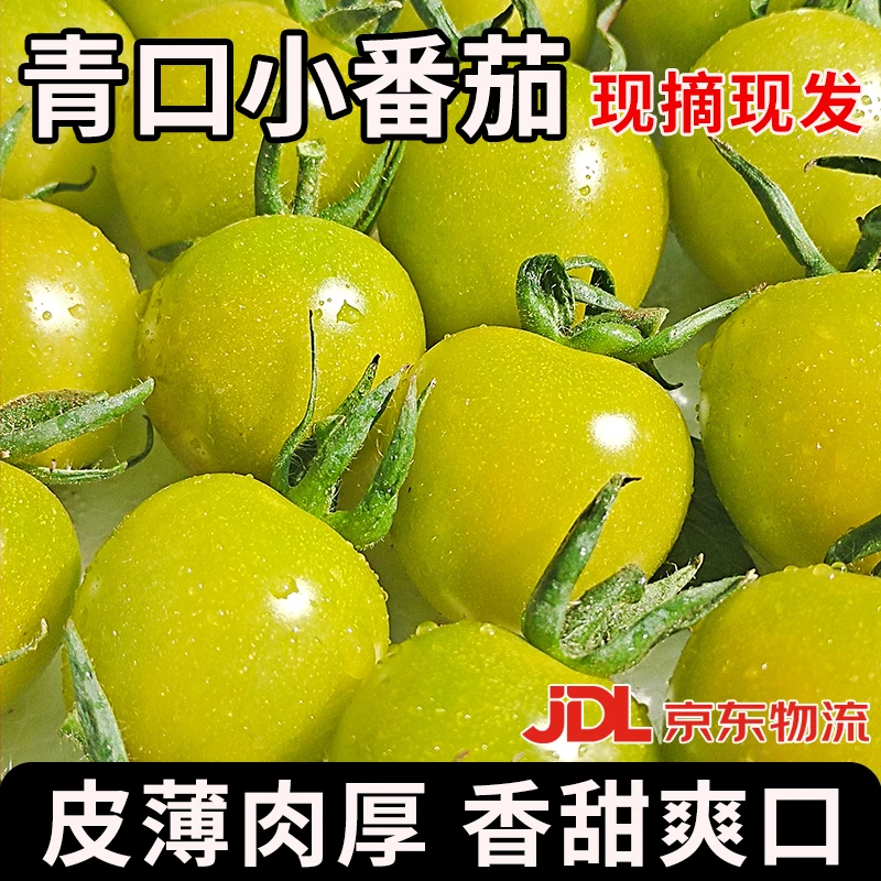 旺旺自采园正宗新鲜绿色青甜圣女果青小番茄蔬菜沙拉新品脆甜多汁