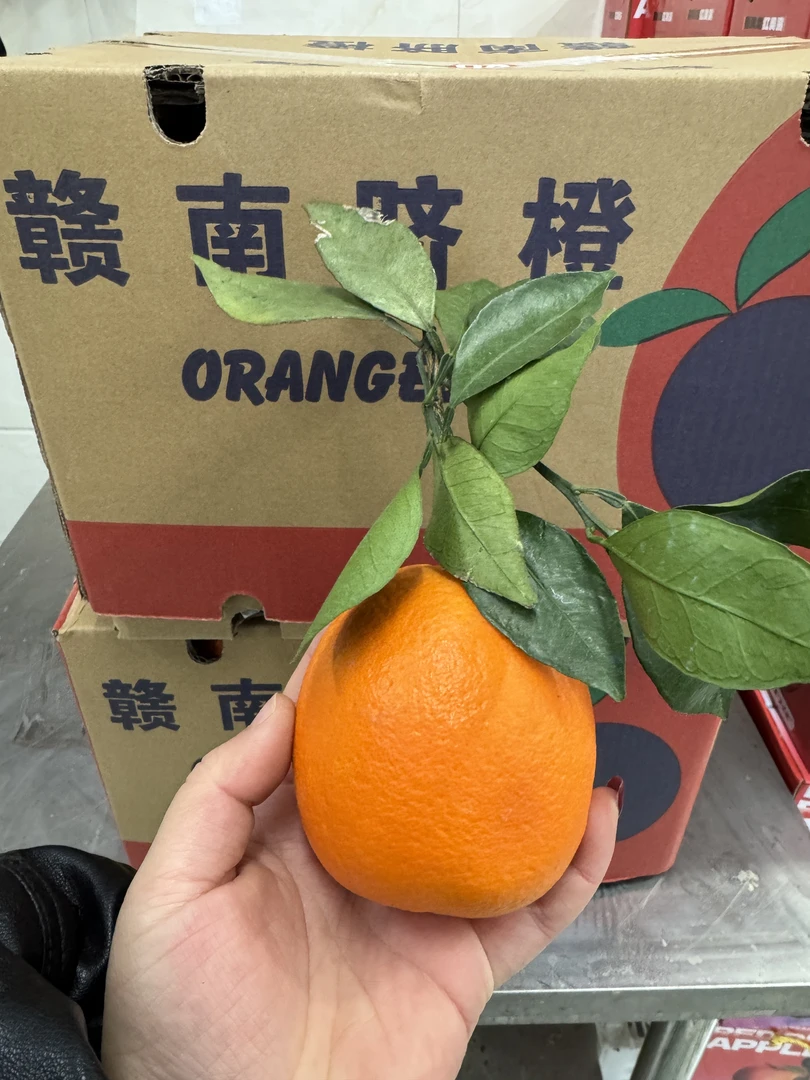 产地直达芒果28元10斤