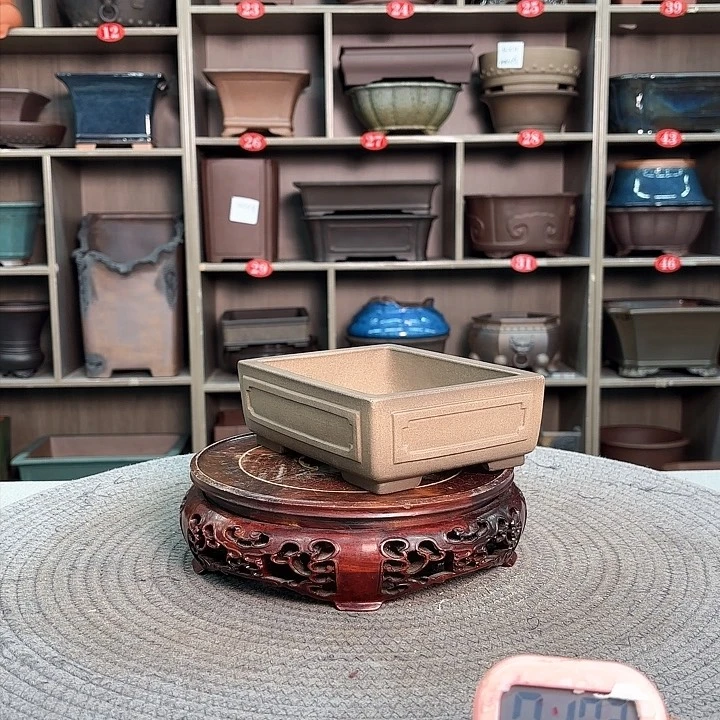 紫砂花盆？*？紫砂的花也太美