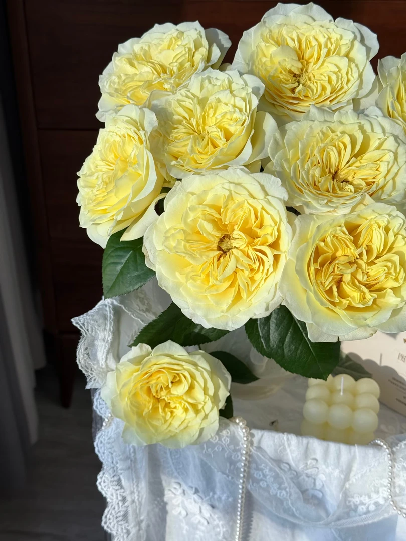 【窒息】稀缺单头玫瑰方德品牌基地|全场任意两单鲜花升级快递