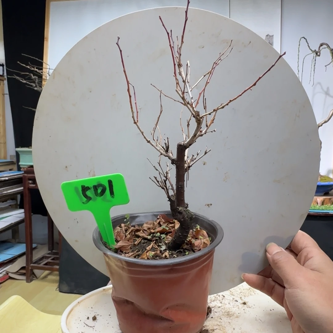 星***空无花朵地方哈哈季军看看