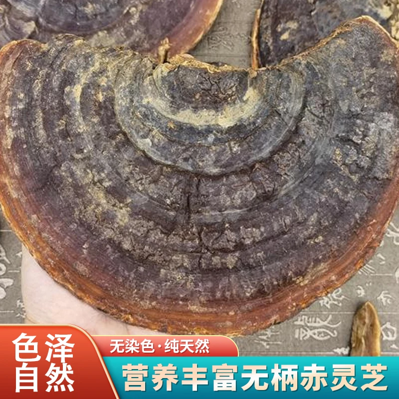 云南纯天然野生无柄赤灵芝树舌灵芝苦味整枝灵芝片林芝煮水泡酒茶