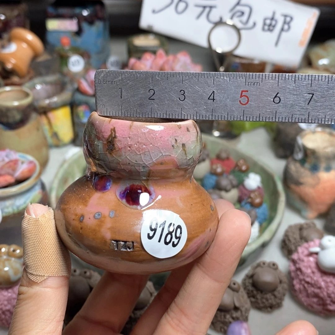 拍5送一个小礼物