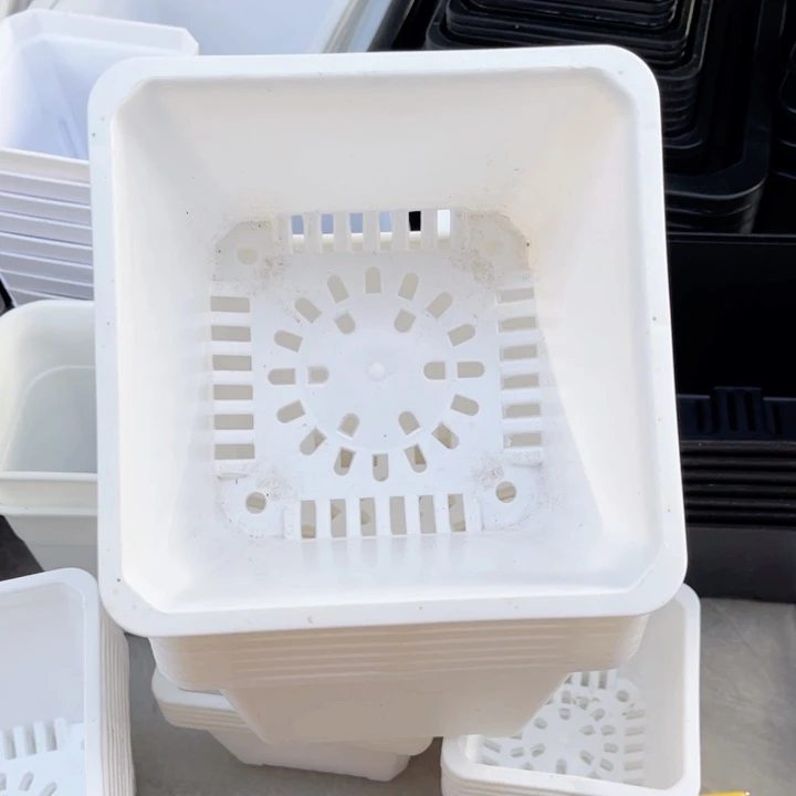 白方口15高10一组20